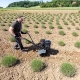 Kép 5/5 - AL-KO MH 540 benzinmotoros kapa