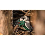 Kép 3/5 - Bosch EasyChain 18V-15-7 akkus láncfűrész, 18V, 13cm (2.5Ah akkuval és töltővel)