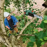 Kép 8/8 - Bosch UniversalChainPole 18 akkus magassági ágvágó, 18V (2.5Ah akku és töltő)