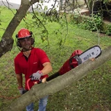 Kép 9/9 - Einhell GC-EC 750 T elektromos magassági ágvágó láncfűrész 