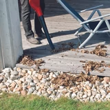 Kép 7/8 - Einhell PXC GE-CL 18 Li E Kit akkus lombfúvó szett, 18V, 2Ah akkuval és töltővel