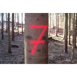 Kép 2/2 - Erdőjelölő spray - FORST-MARKER - NEON NARANCSSÁRGA, 500ml, ECS