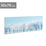 Kép 1/2 - Family Decor LED-es fali kép, téli táj, 30 hidegfehér LED, 2xAA, 70x30cm