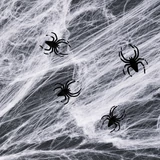 Kép 2/3 - Family Halloween pókháló és pók, fehér