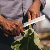 Kép 3/6 - Fiskars X-series K82 betakarító kés, 15cm
