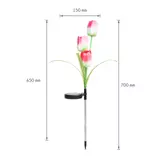 Kép 3/4 - RGB LED leszúrható szolár virág, 2 db/csomag, 75cm 