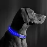 Kép 2/4 - LED-es, akkumulátoros nyakörv, kék, S