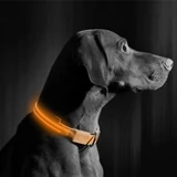 Kép 3/4 - LED-es, akkumulátoros nyakörv, narancs, S