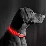 Kép 3/4 - LED-es, akkumulátoros nyakörv, piros, S