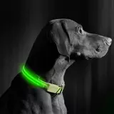 Kép 2/4 - LED-es, akkumulátoros nyakörv, zöld, S