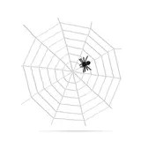 Kép 1/3 - Pókháló és pók, fehér