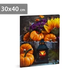Kép 1/2 - Halloween-i LED-es hangulatkép fali akasztóval, 2xAA, 30x40cm