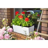 Kép 2/6 - Lamela Begonia dluto balkonláda, 19x56x19,5cm, mokka
