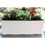 Kép 6/7 - Lamela Begonia rattan balkonláda, 19x56x19,5cm, grafitszürke