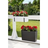Kép 7/7 - Lamela Begonia rattan balkonláda, 19x56x19,5cm, grafitszürke