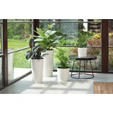 Kép 3/7 - Lamela Lilia Dluto kaspó, 30cm, kerek, fekete