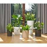 Kép 4/7 - Lamela Lilia Dluto kaspó, 30cm, kerek, fekete