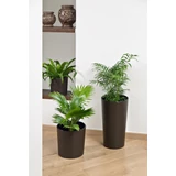 Kép 5/7 - Lamela Lilia Dluto kaspó, 30cm, kerek, fekete