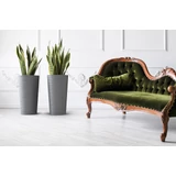 Kép 7/7 - Lamela Lilia Dluto kaspó, 30cm, kerek, fekete