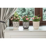 Kép 3/12 - Lamela Duet kaspó 29cm, kerek, krém-krém