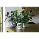 Kép 11/12 - Lamela Duet kaspó 25cm, kerek, szürke-szürke