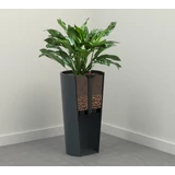 Kép 2/2 - Lamela önöntöző rendszer, 25cm, kerek