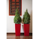 Kép 5/16 - Lamela Finezja kaspó, 25cm, fehér