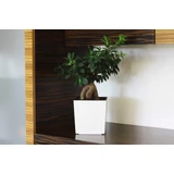 Kép 2/6 - Lamela Juka kaspó, 25cm, mokka