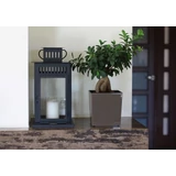 Kép 6/6 - Lamela Juka kaspó, 25cm, mokka