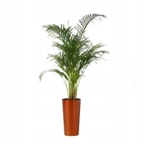Kép 2/5 - Lamela Lilia Gloss kaspó, betéttel 14cm, réz
