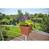 Kép 3/7 - Lamela Lobelia balkonláda korlátra, 45cm, antracit szürke