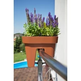 Kép 4/7 - Lamela Lobelia balkonláda korlátra, 45cm, antracit szürke