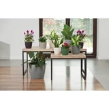 Kép 2/7 - Lamela Magnolia Jersey kaspó 16cm, kerek, antracitszürke