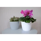 Kép 4/4 - Lamela Magnolia Jumper kaspó, 16cm, kerek, mustár