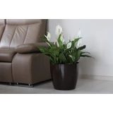 Kép 6/7 - Lamela Magnolia kaspó, 18cm, kerek, világoszöld