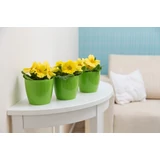 Kép 7/7 - Lamela Magnolia kaspó, 18cm, kerek, világoszöld