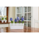 Kép 5/7 - Lamela Bella virágtartó, 30cm, ovális, menta