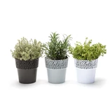 Kép 2/8 - Lamela Rosa virágtartó, 11cm, kerek, fehér