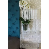 Kép 2/6 - Lamela Wenus kaspó, 20cm, lila transzparens
