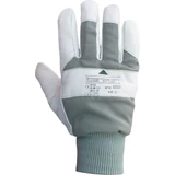 Kép 1/2 - Hűtőházi borjúbőr kesztyű, 13