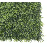 Kép 2/4 - Nortene Vertical Buxus zöldfal buxus levelekkel, 1x1m