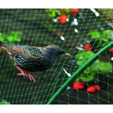 Kép 1/3 - Nortene Birdnet HDPE extrudált madárháló, rombusz, zöld, 2x20m