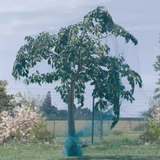 Kép 3/3 - Nortene Birdnet HDPE extrudált madárháló, rombusz, zöld, 4x10m