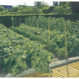 Kép 1/4 - Nortene Trellinet PP uborkaháló, zöld, 150x170mm, 1.7x20m
