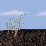 Kép 4/4 - Nortene FRESAFILM 40µ LDPE talajtakaró fólia eperhez, 1,4x10m