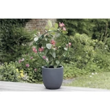 Kép 2/2 - Nortene Plast Arc ívelt növénytámasztó, zöld, 42cm