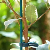 Kép 2/2 - Nortene SPLIT BAMBOO festett bambusz pálcák csomagban, 0,4m