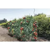 Kép 3/3 - Nortene Tomato Spiral Epoxy spirál paradicsomkaró, epoxigyantával bevont, 1.7m