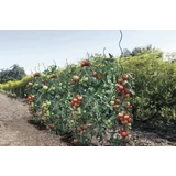 Kép 3/3 - Nortene Tomato Spiral Epoxy spirál paradicsomkaró, epoxigyantával bevont, 1.7m