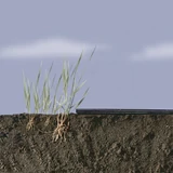 Kép 2/5 - Nortene Terrafilm univerzális talajtakaró fólia, 1.4x10m